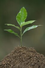 国务院颁发《土壤污染防治行动计划》
