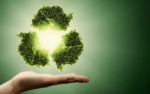 四部门联合发布《生态系统碳汇能力巩固提升实施方案》