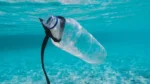 Cleaning up plastic in the ocean with blockchain technology and ocean plastic certificates