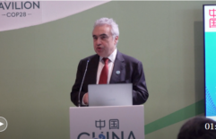IEA chief praises China as global leader in clean energy