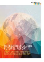 REN21 Renewables Global Futures Report (GFR)