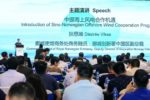 Global Offshore Wind Declaration Unanimously Ratified at 2019 Yangjiang Summiy