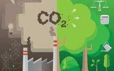22 reports on “carbon neutral”