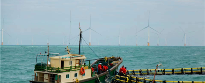 China’s first “offshore wind power + marine pasture” demonstration area have results! Create a world-wide pioneer in anti typhoon aquaculture