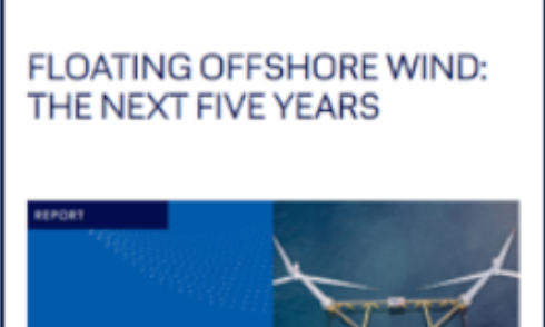 Floating Offshore Wind: The Next Five Years