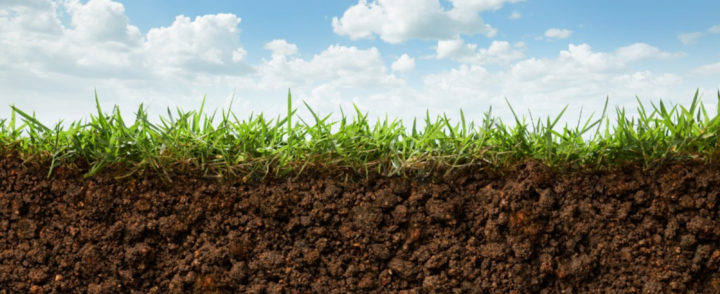 The Key Measures to Promote the Prevention and Control of Soil Pollution during the 14th Five-Year Plan