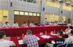 Hainan Provincial Department of natural resources and planning held a sea use promotion meeting for offshore wind power projects