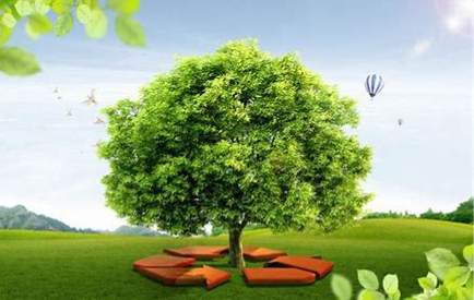 The Ministry of Ecology and Environment issued the Environmental Benchmark Work Plan (2023-2025)